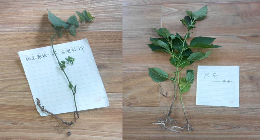药学系新闻稿372 拷贝.jpg 药学系新闻稿372 拷贝.jpg