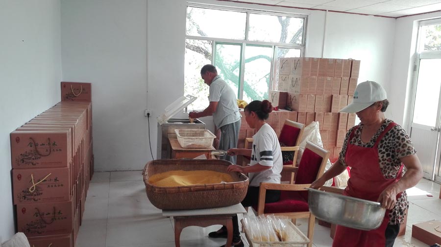 3、发展集体经济，包装销售金斗山小米.jpg