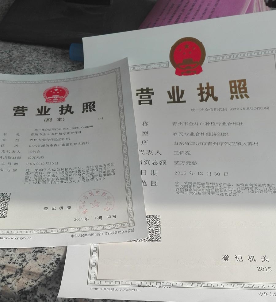 4-2成立金斗山种植专业合作社.jpg